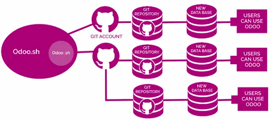 odoosh-requirements.webp